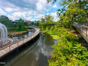 Downtown Cary 06-22-11